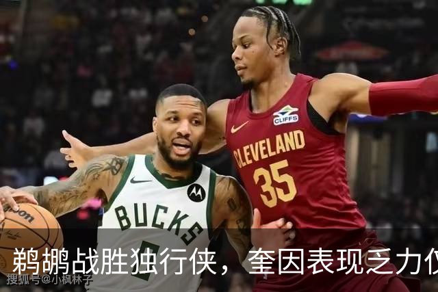 鹈鹕战胜独行侠，奎因表现乏力仅得6分